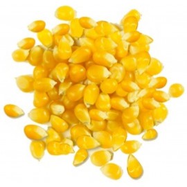 Giusto's Whole Yellow Corn (1x25LB )