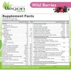 Naturade Nutritional Shake Vegan Smart All In One Wild Berries 22.8 oz