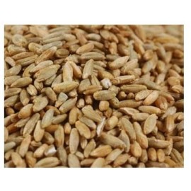 Grains Rye Berries (1x25LB )