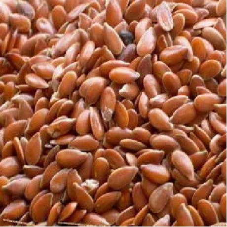 Seeds Flax Seeds (1x5LB )