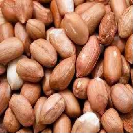 Nuts Raw Spanish Peanuts Usa (1x30LB )