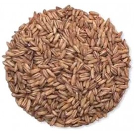 Grains Whole Oat Groats (1x25LB )