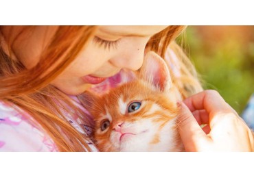  How Animals Can Help Children With Disabilities