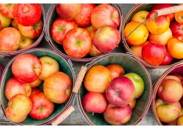  How to Make the Most of Apple Picking Season, According to Orchard Owners