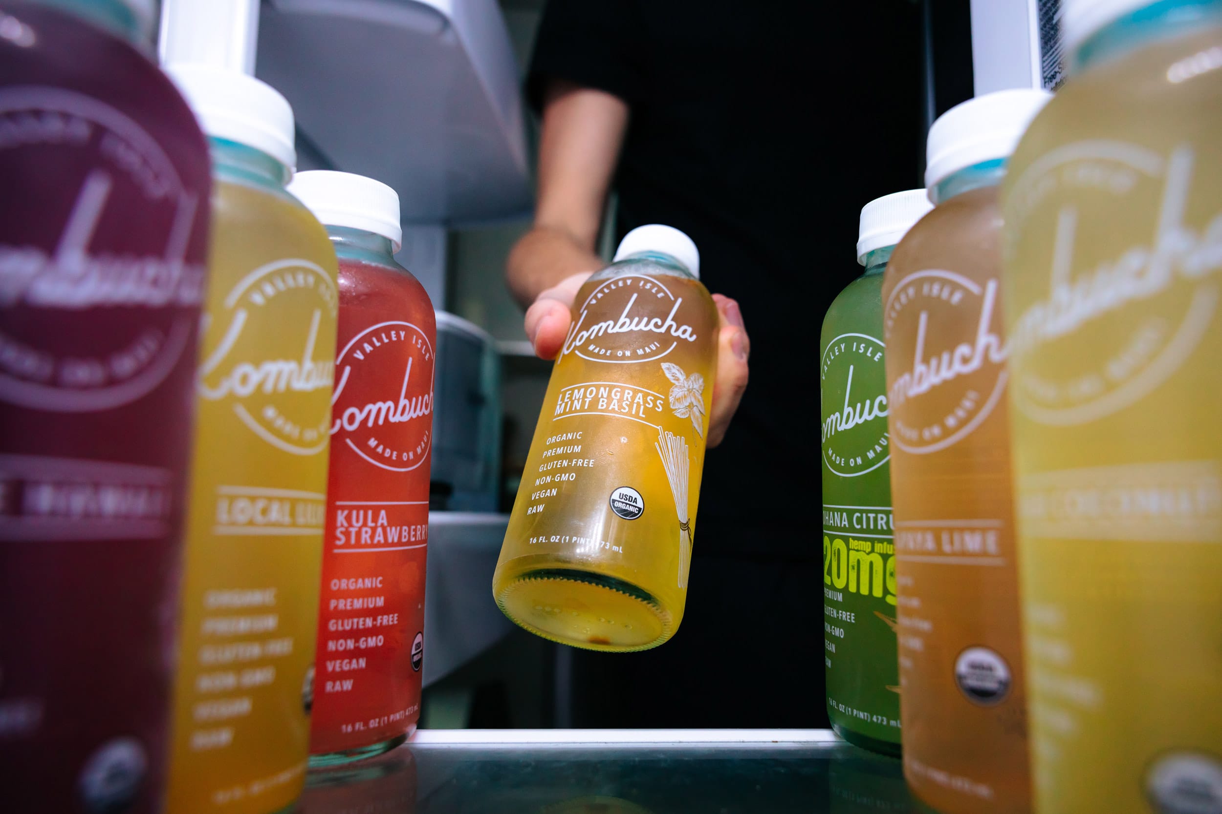  What Is Kombucha?